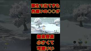 野生で出てきた色違いの〇〇が無茶苦茶小さくて可愛いんだが！？ 【ポケモンレジェンズアルセウス】#Shorts