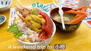 SUB【Hokkaido vlog】Otaru Travel | Kaisendon at Takinami Shokudo | Otaru Canal | Music Box Museum