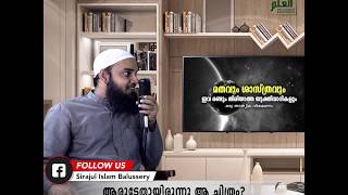 ആരുടേതായിരുന്നു ആ ചിത്രം? | #Shorts | WhatsApp Status | Sirajul Islam Balussery