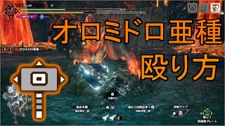 [MHRise:sunbreak] オロミドロ亜種　ハンマー　殴り方　解説 [モンハンライズサンブレイク]