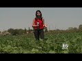 california farm workers make push for overtime pay