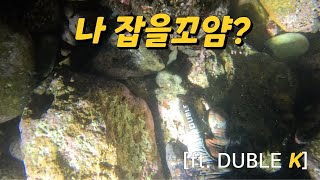 술마시고 만든 ... 돌문어 해루질 영상!