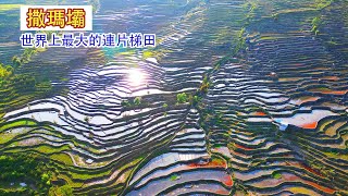 【4K】世界上最大的連片梯田，1300米的落差，4300級的梯田，哈尼族人創造的人間奇跡，世界文化遺產：雲南省紅河縣撒瑪壩梯田 |世界遺產|哈尼梯田|