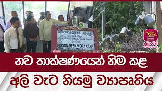 නව තාක්ෂණයෙන් නිම කළ අලි වැට නියමු ව්‍යාපෘතිය | Rupavahini News