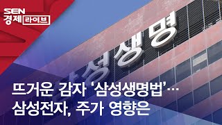 뜨거운 감자 ‘삼성생명법’…삼성전자, 주가 영향은