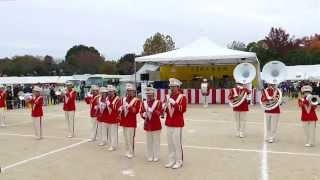 第40回堺市農業祭　堺市消防音楽隊の演奏（２０１５年１１月２３日）