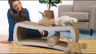 Petfusion Jumbo Cat Scratcher Lounge