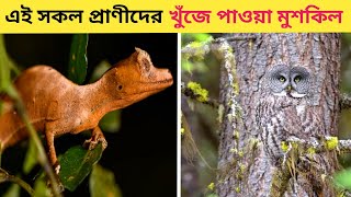 এই সকল প্রাণী গুলো আপনার চোখের সামনে থাকলেও দেখতে পাবেন না ||