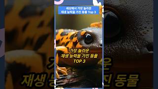 (세계/순위 TOP3) 세상에서 가장 놀라운 재생 능력을 가진 동물들