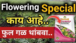 महाधन flowering special बद्दल ही माहिती असावी l Flowering Special खत