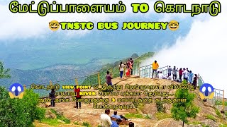 METTUPALAYAM TO KODANADU | TNSTC BUS JOURNEY | VIA KOTAGIRI, KAIKATTY