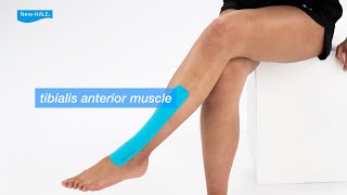 AKT Tape 【tibialis anterior muscle】