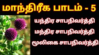 யந்திர,மந்திர,மூலிகை சாபநிவர்த்தி