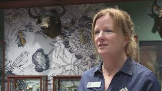 This is Montgomery County - Boonshoft Museum of Discovery