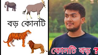 ধাঁধা প্রশ্ন ও উত্তর / ধাঁধা /Dhadha/Dha Dha/ Mojar Dhadha/ Dada /Dhadha Bangla /ধাধা /ধাঁধা প্রশ্ন