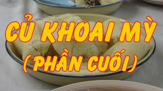 Củ Khoai Mì (Trần Thành Kiệt 344) (Phần Cuối) | Văn Chương Miền Nam