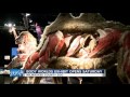 New Body Worlds exhibit opening at the Milwaukee County Zoo