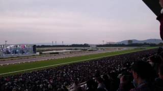 2016 第41回 エリザベス女王杯(ＧⅠ) 現地 クイーンズリング Queen Elizabeth II Cup Kyoto Racecourse JAPAN