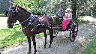 Attacchi a singolo cavallo - Carrozze ad Agliè 2015