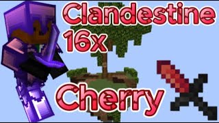 Clandestine 16x Cherry