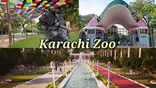 2025 new karachi Zoo vlogs🦚🐬 #buhat maza aya Bandar ulta latka hua tha🤣#karachizoo #ytshorts #browse