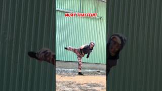 Muay Thai Feint #training #tutorial #martialarts #muaythai #usa #ytshorts