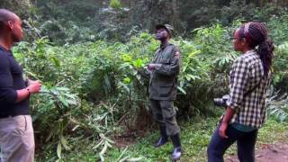 Bwindi Impenetrable National Park