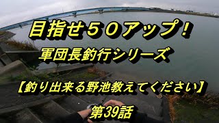 【バス釣り】「第39話　野池で釣りするのが怖いです！というお話」　《目指せ５０アップ！軍団長釣行シリーズ》