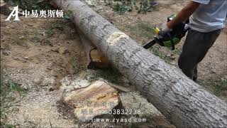 80v Lithium Electric Chainsaw Logging Video