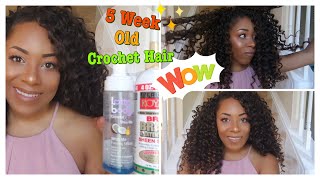 REVITALIZING 5 WEEK OLD CROCHET HAIR FT. FREETRESS PRESTO CURL| LIA LAVON