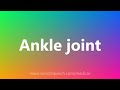 Ankle joint - Medical Definition