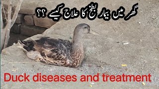 Duck diseases and treatment ! Bemar batakh ka elaj .k I khan