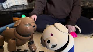 The aibo nursery episode 9 – Ginto, the opera-singer and Pochi the shy boy ￼