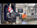 King’s Guard with Heart of Gold Moves his Horse Closer to a Special Lady