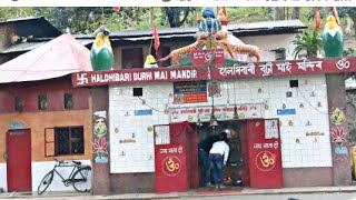 Haldibari Burhi mai Mandir#axomiyavlogger #axomiya_vlogs