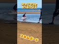 スキムボード　痛くないよ？ shorts おすすめ skimboarding スキムボード スノーボード スケボー dji グラトリ ショービット howto 夏休み 初心者