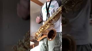 🎷おうちでサックス🎷【涙のリクエスト】