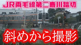 JR両毛線 国定～岩宿 踏切（第二鹿川踏切）