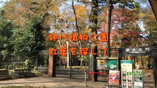 神代植物公園