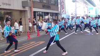 さぬき踊らんな連　まるがめ婆娑羅まつり2016浜町商店街2日目