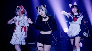 [8K] 241128 로즈트랩(ローズトラップ) 아츠 - 'スピカ' 무대 개인 직캠 (dotchisuki live vol.10 : 「猫と犬」)(프리즘홀)