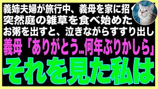 【スカッと】義姉夫婦が旅行中、義母を預かると突然義母が庭に降り雑草を口に詰め込み出したので、慌ててお粥を出すと義母「ありがとう…何年ぶりかしら」→その言葉を聞いた私は無言で立ち上がり（朗読）