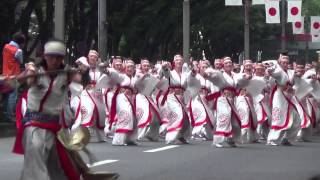 原宿元気祭りスーパーよさこい　ほにやー表参道2013