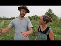 growing food for the year on 1 4 acre self sufficient garden tour three sisters garden