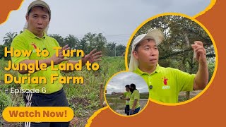 How to Turn Jungle Land to Durian Farm - Episode 6