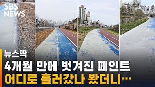 4개월 만에 벗겨진 페인트, 어디로 흘러갔나 봤더니… / SBS / 뉴스딱