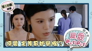 寵愛Pet Pet ｜第18集加長版精華｜係愛 定羨慕妒忌恨  繁／簡／英字幕｜周嘉洛｜林夏薇｜寵物｜喜劇｜港劇｜電視劇