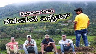 Kadumane Estate | ಕಾಡುಮನೆ ಎಸ್ಟೇಟ್ | Tea Estate | Sakaleshpura | Tea