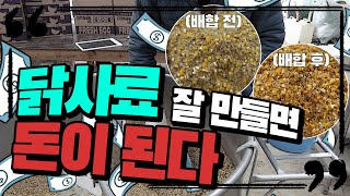 건강한 닭을 키우기 위한 #사료배합 #닭사료 꿀팁🐔 #하루한알 낳는 닭사료