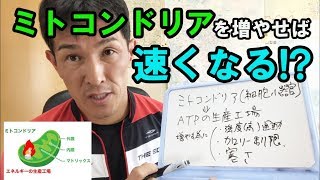 ミトコンドリアを増やして速くなる！2019.3.20